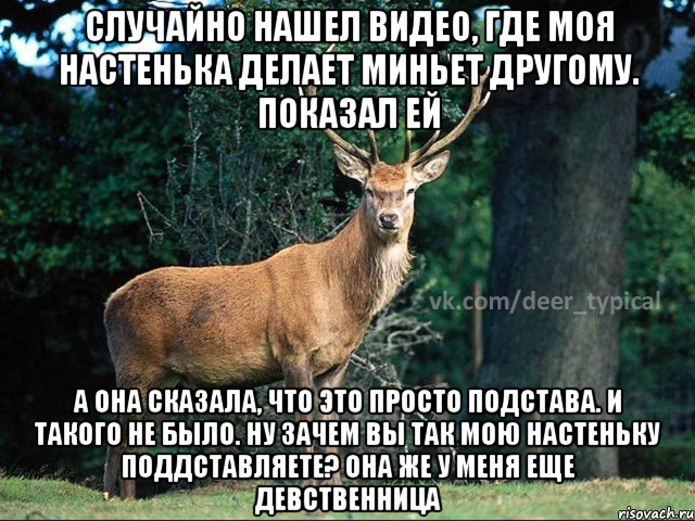 СЛУЧАЙНО НАШЕЛ ВИДЕО, ГДЕ МОЯ НАСТЕНЬКА ДЕЛАЕТ МИНЬЕТ ДРУГОМУ. ПОКАЗАЛ ЕЙ А ОНА СКАЗАЛА, ЧТО ЭТО ПРОСТО ПОДСТАВА. И ТАКОГО НЕ БЫЛО. НУ ЗАЧЕМ ВЫ ТАК МОЮ НАСТЕНЬКУ ПОДДСТАВЛЯЕТЕ? оНА ЖЕ У МЕНЯ ЕЩЕ ДЕВСТВЕННИЦА, Мем Паблик Типичный олень