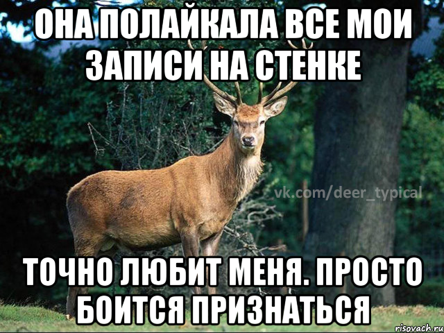 Она полайкала все мои записи на стенке Точно любит меня. Просто боится признаться