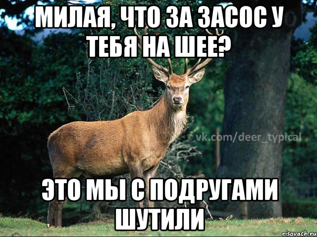 милая, что за засос у тебя на шее? это мы с подругами шутили