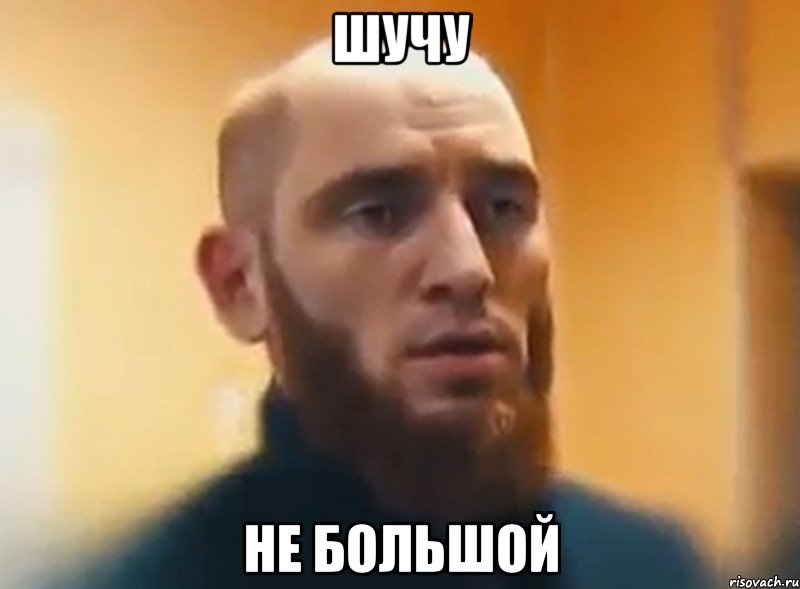 шучу не большой, Мем Шучу