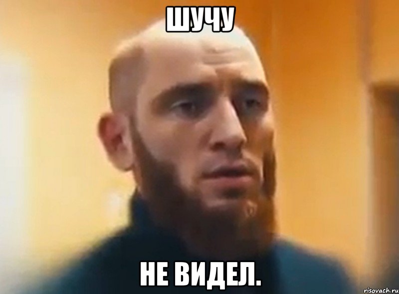 Шучу Не видел., Мем Шучу