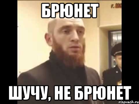 Брюнет шучу, не брюнет, Мем Шучу