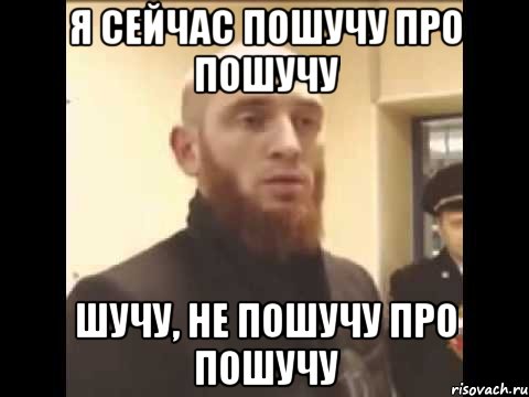 я сейчас пошучу про пошучу шучу, не пошучу про пошучу, Мем Шучу