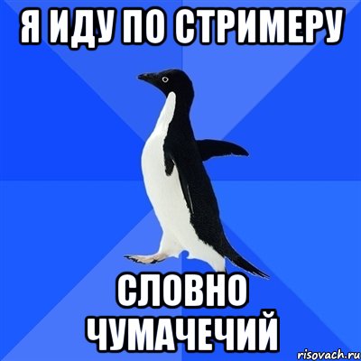 Я иду по стримеру словно чумачечий, Мем  Социально-неуклюжий пингвин