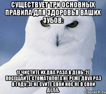 Существует три основных правила для здоровья ваших зубов: 1) чистите их два раза в день; 2) посещайте стоматолога не реже двух раз в году; 3) не суйте свой нос не в свои дела.