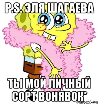 P.S. Эля Шагаева Ты мой личный сорт Вонявок*, Мем Спанч боб