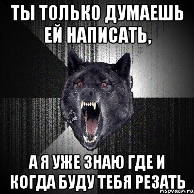 Ты только думаешь ей написать, а я уже знаю где и когда буду тебя резать, Мем Сумасшедший волк