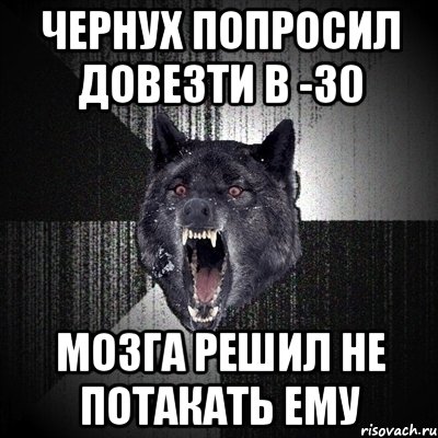 Чернух попросил довезти в -30 МОЗГА РЕШИЛ НЕ ПОТАКАТЬ ЕМУ, Мем Сумасшедший волк