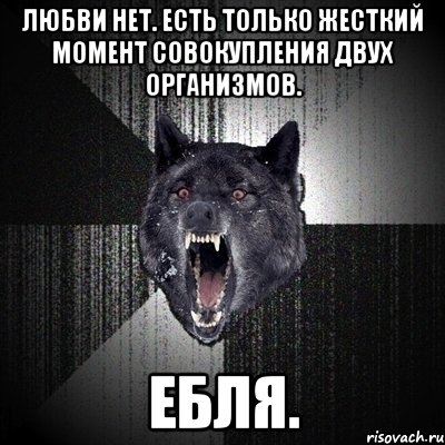 ЛЮБВИ НЕТ. ЕСТЬ ТОЛЬКО ЖЕСТКИЙ МОМЕНТ СОВОКУПЛЕНИЯ ДВУХ ОРГАНИЗМОВ. ЕБЛЯ., Мем Сумасшедший волк