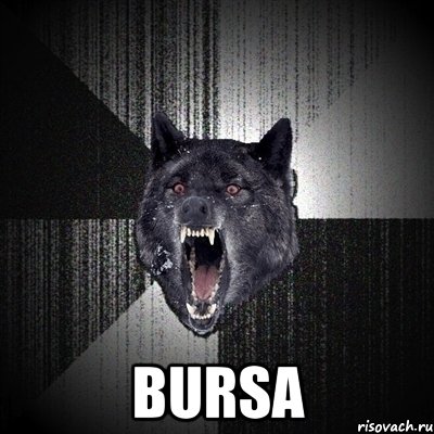  BURSA, Мем Сумасшедший волк