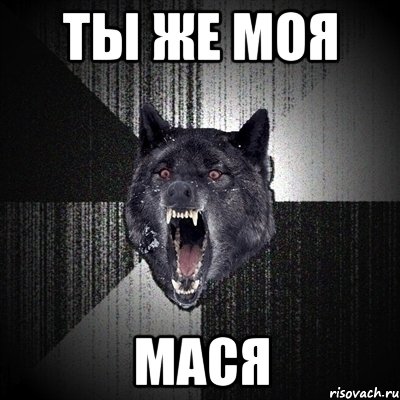 ТЫ ЖЕ МОЯ МАСЯ, Мем Сумасшедший волк