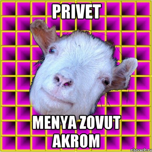 Privet Menya zovut akrom, Мем типичная коза