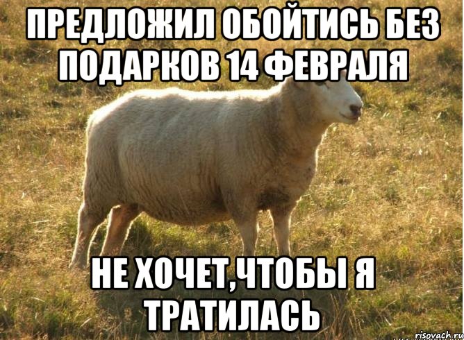 Предложил обойтись без подарков 14 февраля Не хочет,чтобы я тратилась, Мем Типичная овца