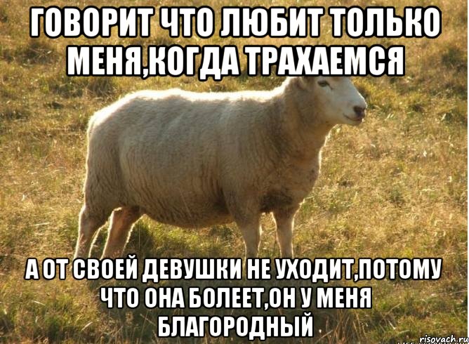 Говорит что любит только меня,когда трахаемся А от своей девушки не уходит,потому что она болеет,он у меня благородный, Мем Типичная овца