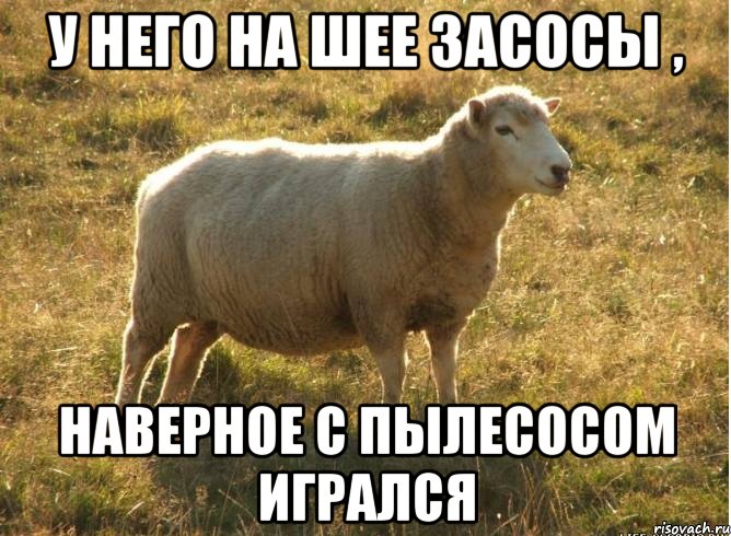 У него на шее засосы , Наверное с пылесосом игрался