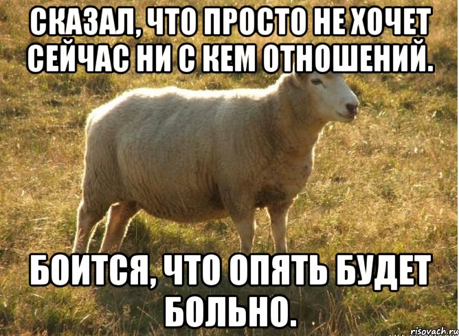 Сказал, что просто не хочет сейчас ни с кем отношений. Боится, что опять будет больно.