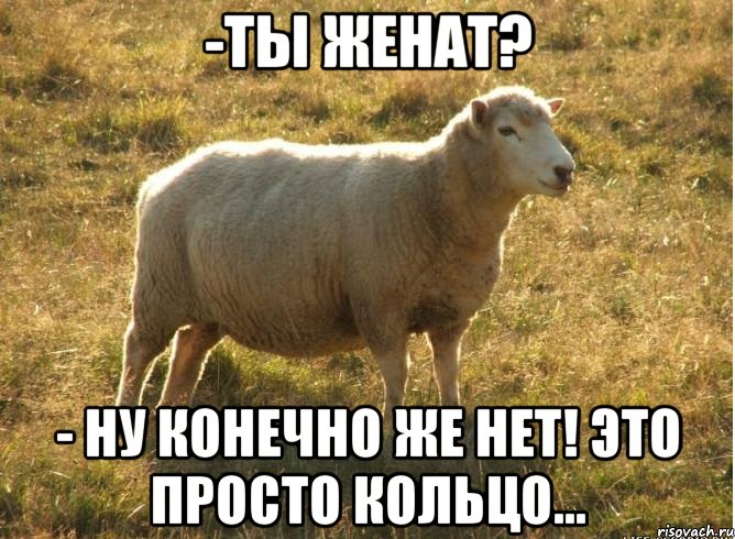 -ТЫ ЖЕНАТ? - НУ КОНЕЧНО ЖЕ НЕТ! ЭТО ПРОСТО КОЛЬЦО...