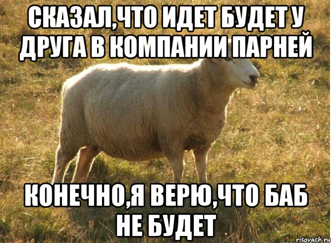 Сказал,что идет будет у друга в компании парней Конечно,я верю,что баб не будет, Мем Типичная овца