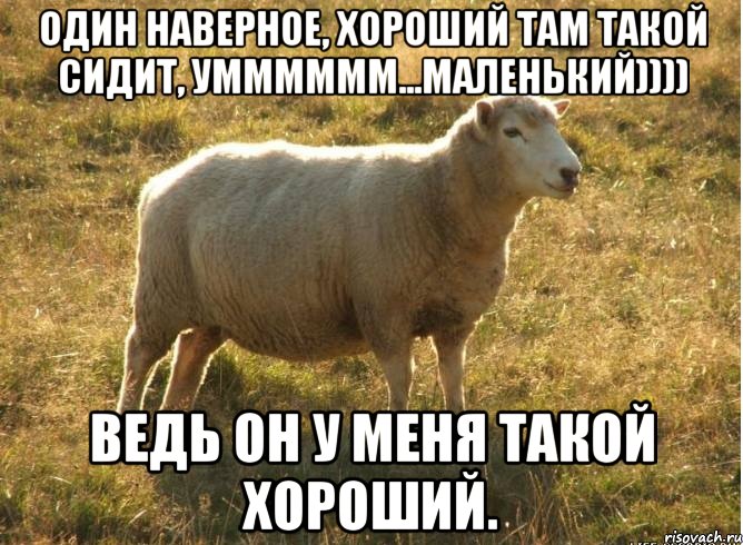 Один наверное, хороший там такой сидит, умммммм...маленький)))) Ведь он у меня такой хороший.