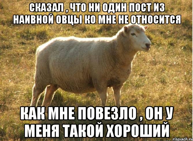 Сказал , что ни один пост из наивной овцы ко мне не относится Как мне повезло , он у меня такой хороший