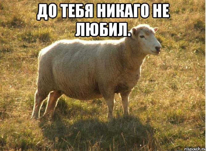 До тебя никаго не любил. 