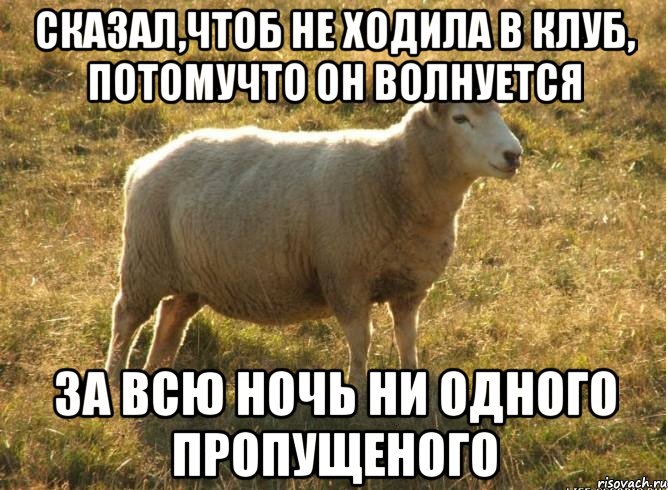 сказал,чтоб не ходила в клуб, потомучто он волнуется за всю ночь ни одного пропущеного, Мем Типичная овца