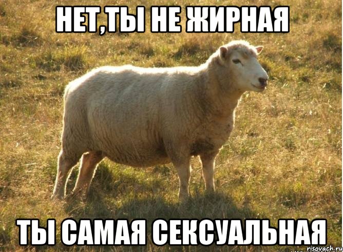 Нет,ты не жирная Ты самая сексуальная