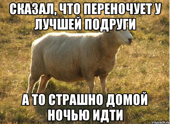 сказал, что переночует у лучшей подруги а то страшно домой ночью идти, Мем Типичная овца