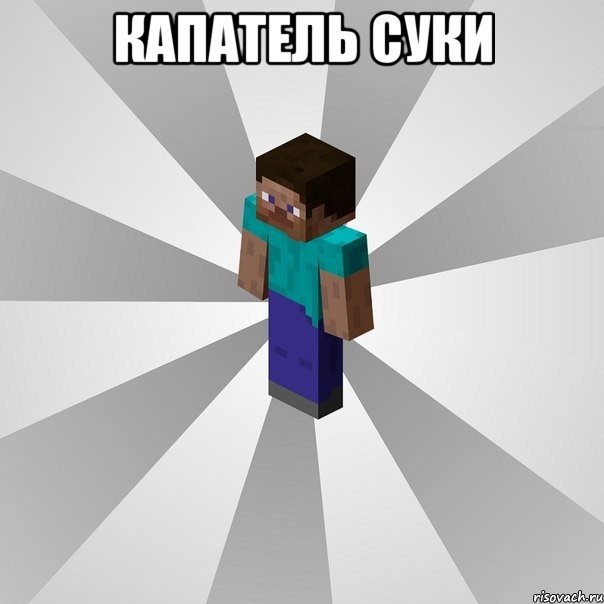 Капатель суки , Мем Типичный игрок Minecraft