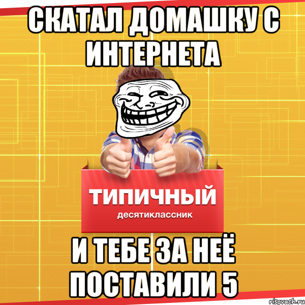 Скатал домашку с интернета И тебе за неё поставили 5, Мем Типичный десятиклассник