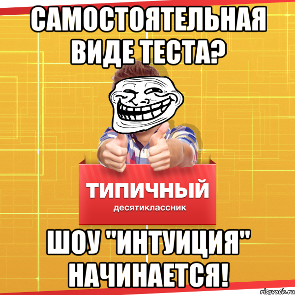 Самостоятельная виде теста? Шоу "интуиция" начинается!, Мем Типичный десятиклассник