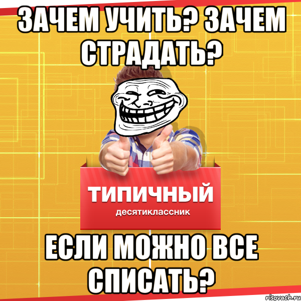 Зачем учить? Зачем страдать? Если можно все списать?, Мем Типичный десятиклассник