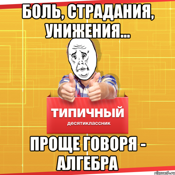 Боль, страдания, унижения... Проще говоря - АЛГЕБРА, Мем Типичный десятиклассник