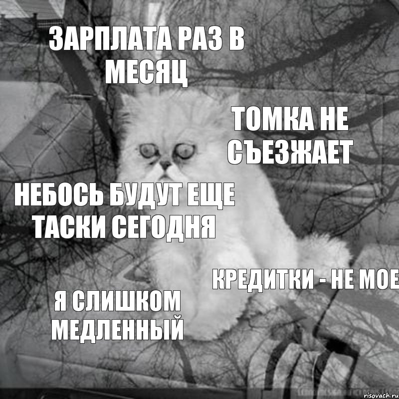 Зарплата раз в месяц Томка не съезжает Небось будут еще таски сегодня Кредитки - не мое Я слишком медленный