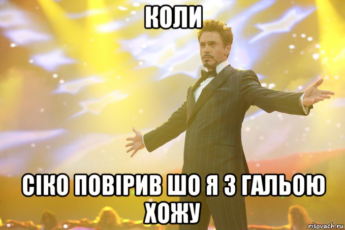 коли сіко повірив шо я з гальою хожу, Мем Тони Старк (Роберт Дауни младший)