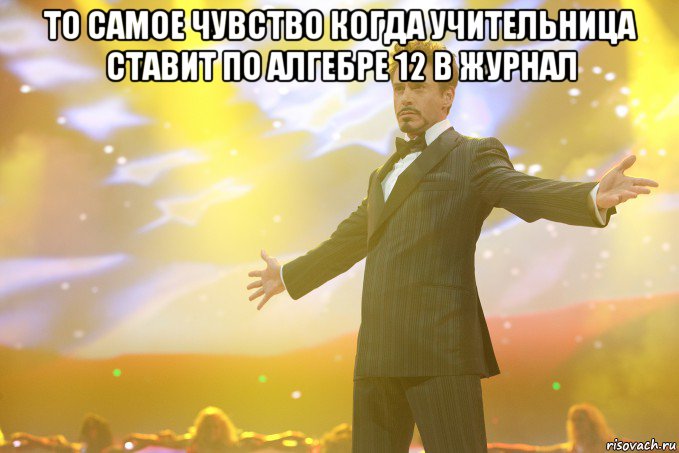 То самое чувство когда учительница ставит по Алгебре 12 в журнал , Мем Тони Старк (Роберт Дауни младший)