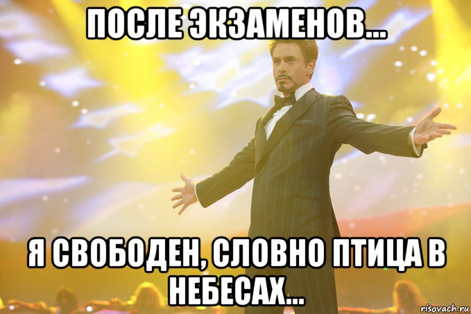 после экзаменов... я свободен, словно птица в небесах..., Мем Тони Старк (Роберт Дауни младший)