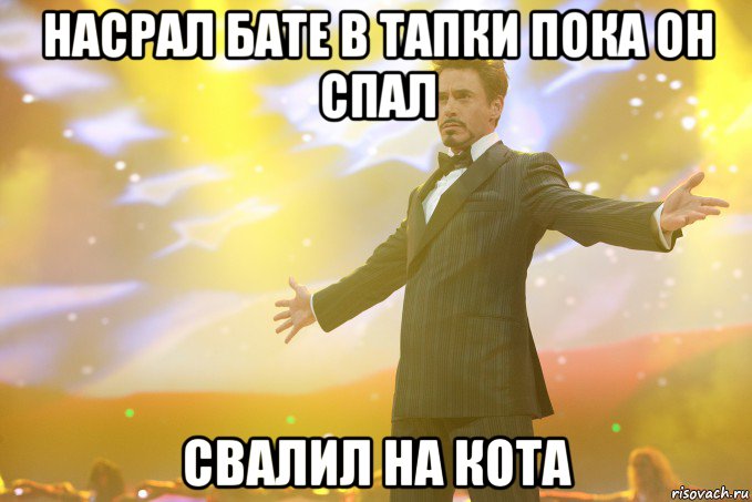 насрал бате в тапки пока он спал свалил на кота, Мем Тони Старк (Роберт Дауни младший)