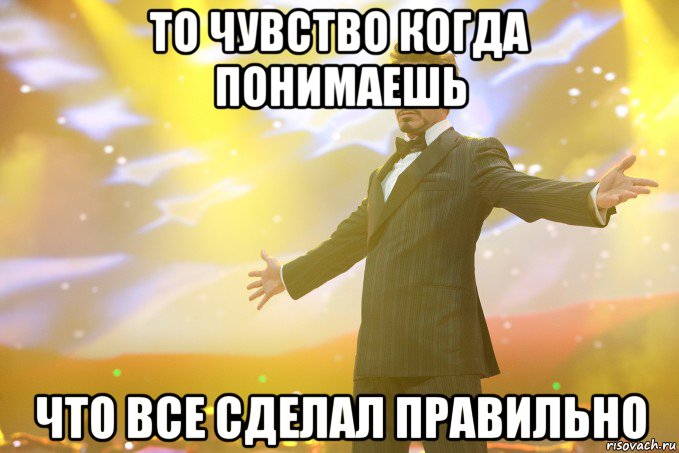 То чувство когда понимаешь что все сделал правильно, Мем Тони Старк (Роберт Дауни младший)