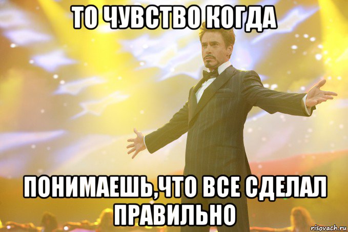 То чувство когда понимаешь,что все сделал правильно, Мем Тони Старк (Роберт Дауни младший)