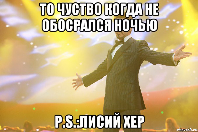 То чуство когда не обосрался ночью P.S.:Лисий хер, Мем Тони Старк (Роберт Дауни младший)