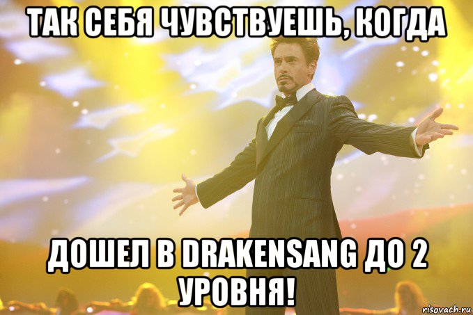 Так себя чувствуешь, когда дошел в DrakenSang до 2 уровня!, Мем Тони Старк (Роберт Дауни младший)