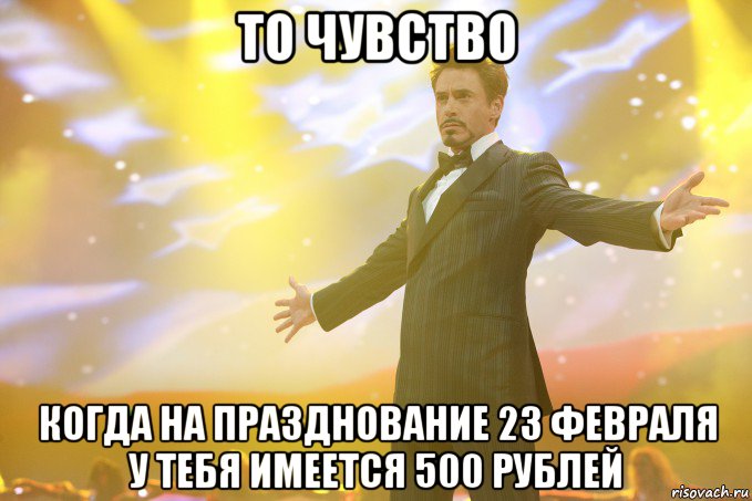 ТО ЧУВСТВО КОГДА НА ПРАЗДНОВАНИЕ 23 ФЕВРАЛЯ У ТЕБЯ ИМЕЕТСЯ 500 РУБЛЕЙ, Мем Тони Старк (Роберт Дауни младший)