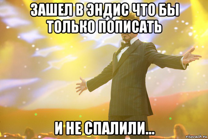 зашел в Эндис что бы только пописать и не спалили..., Мем Тони Старк (Роберт Дауни младший)