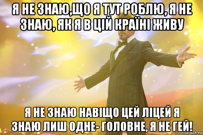 Я не знаю,що я тут роблю, Я не знаю, як я в цій країні живу Я не знаю навіщо цей ліцей Я знаю лиш одне- головне, я не ГЕЙ!, Мем Тони Старк (Роберт Дауни младший)