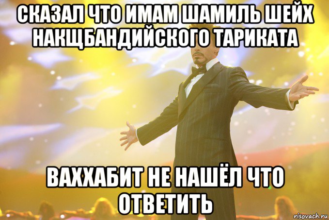 сказал что Имам Шамиль шейх накщбандийского тариката ваххабит не нашёл что ответить, Мем Тони Старк (Роберт Дауни младший)