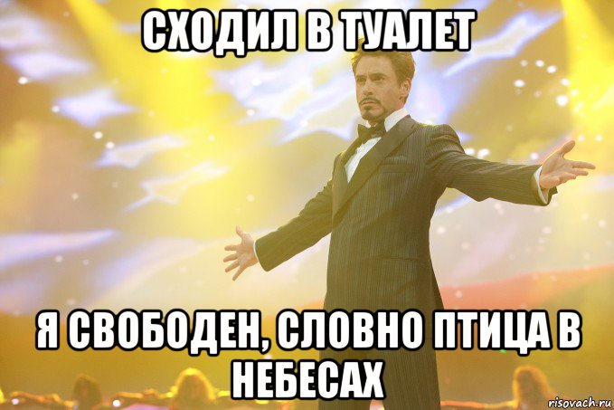 Сходил в туалет Я свободен, словно птица в небесах, Мем Тони Старк (Роберт Дауни младший)