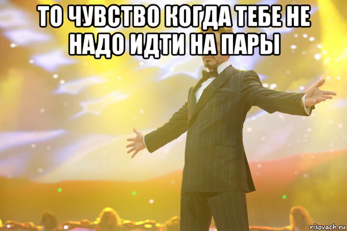 ТО ЧУВСТВО КОГДА ТЕБЕ НЕ НАДО ИДТИ НА ПАРЫ , Мем Тони Старк (Роберт Дауни младший)