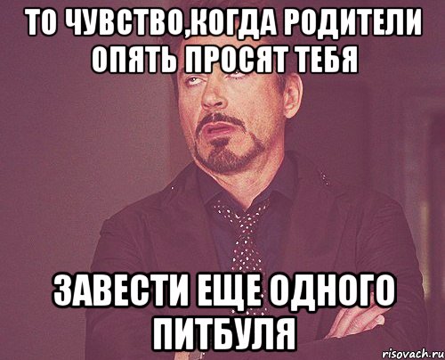 ТО чувство,когда родители опять просят тебя завести еще одного питбуля, Мем твое выражение лица