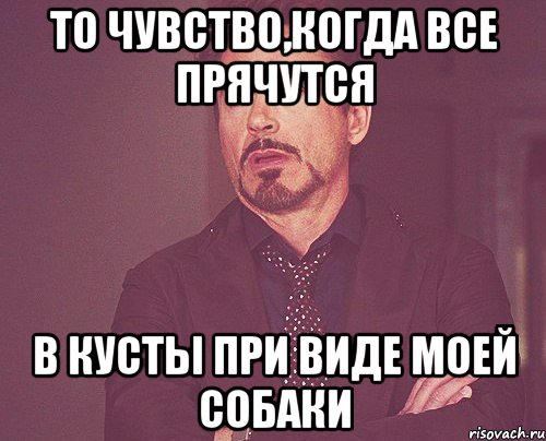 То чувство,когда все прячутся в кусты при виде моей собаки, Мем твое выражение лица